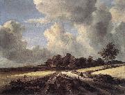 RUISDAEL, Jacob Isaackszon van Wheat Fields dh oil painting